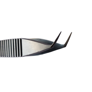 Extraction Forceps - Adson Extraction Forceps ( Short Tip - 6mm )