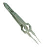 Forrester Straight Tip